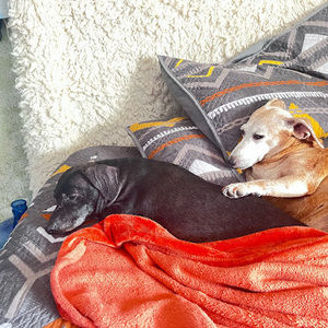 Meet your Posher, Edwin